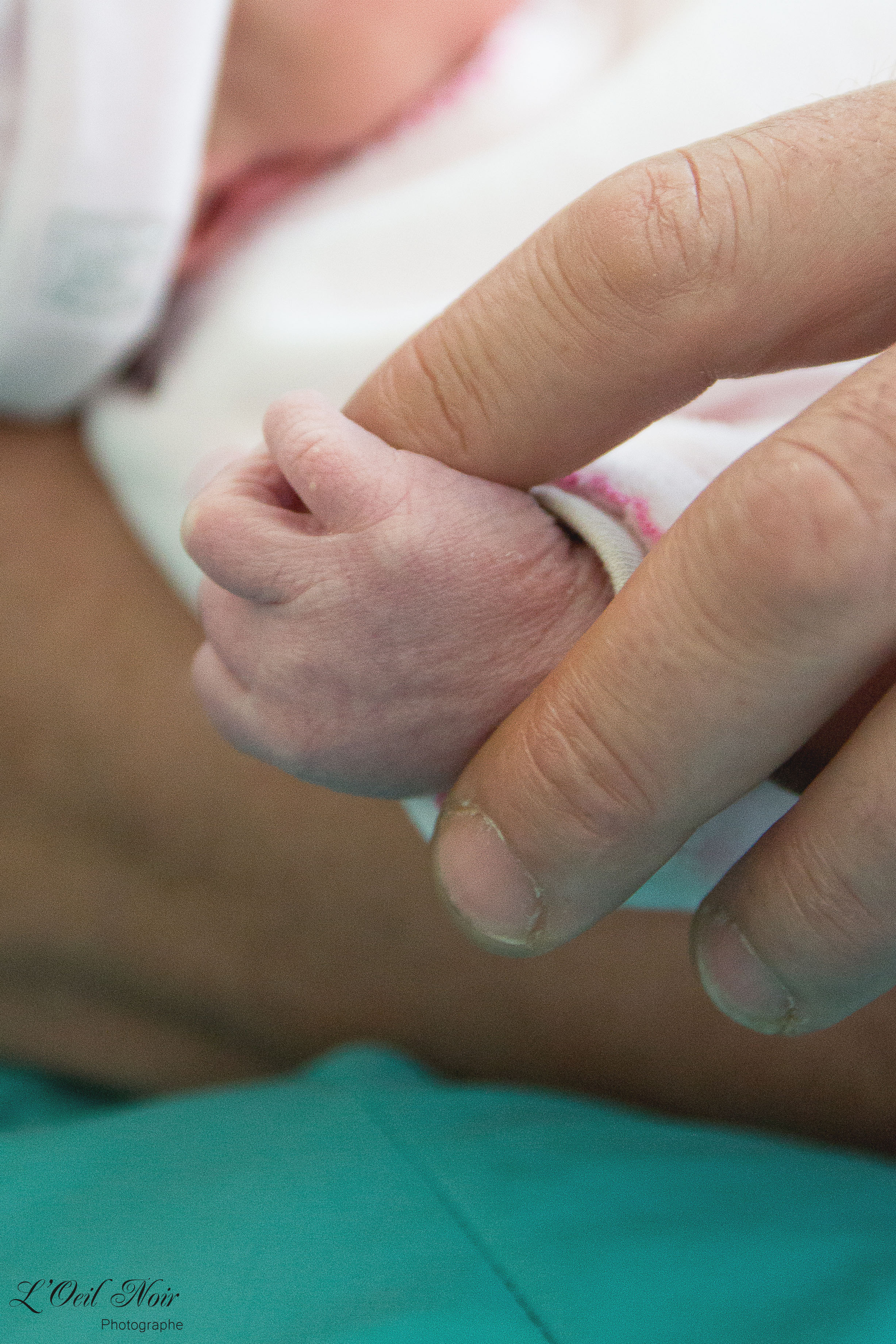 L' Oeil Noir Photographe